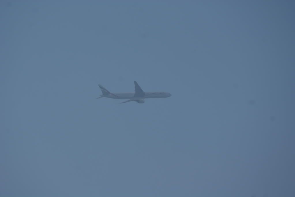DSC08483.jpg