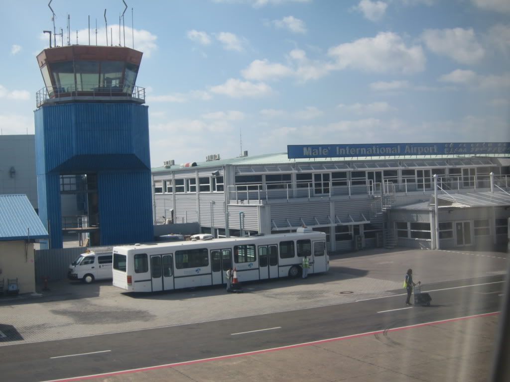IMG_7768.jpg