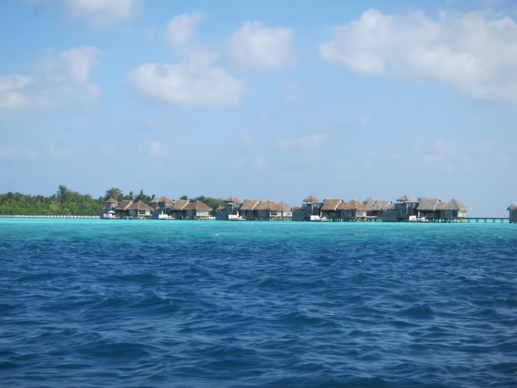 IMG_7776.jpg