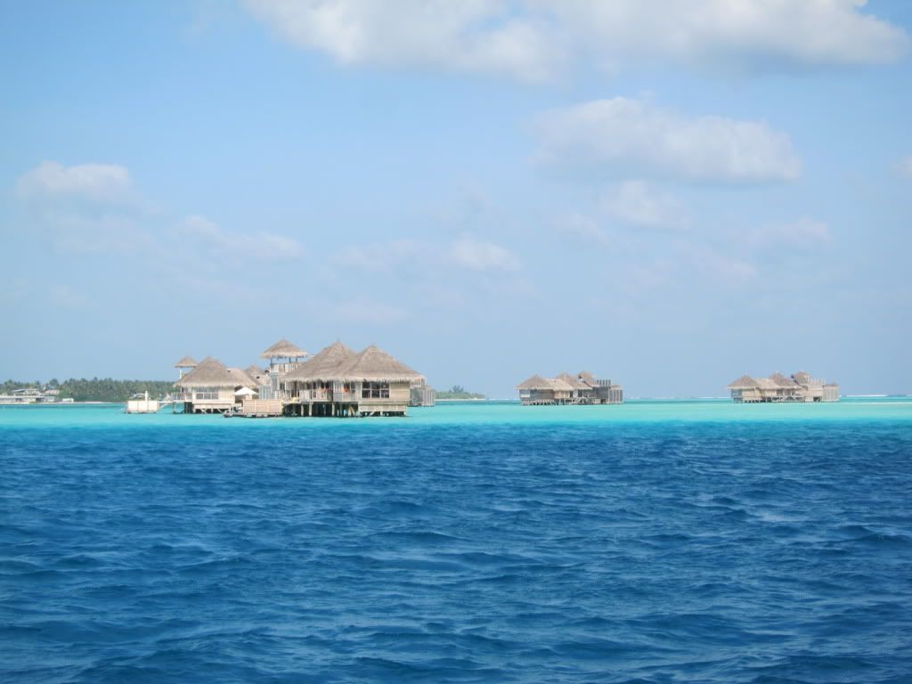 IMG_7779.jpg