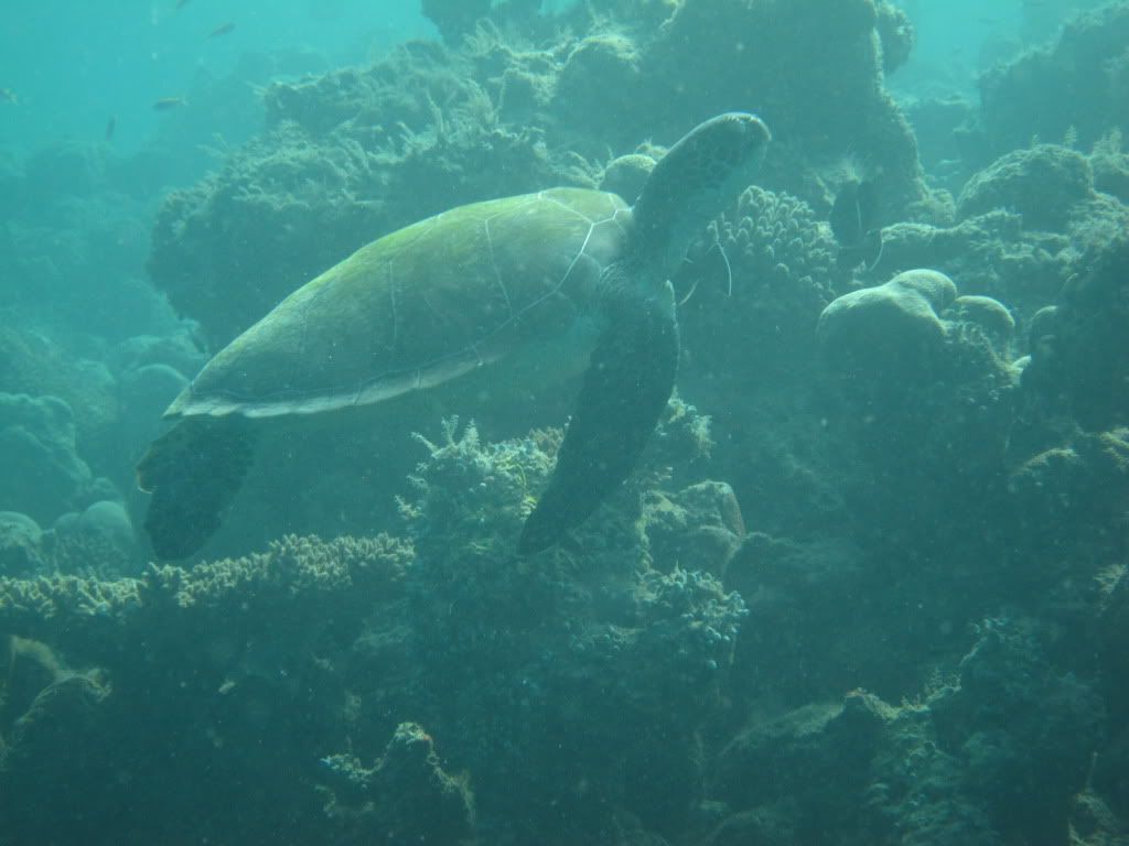 IMG_8028.jpg