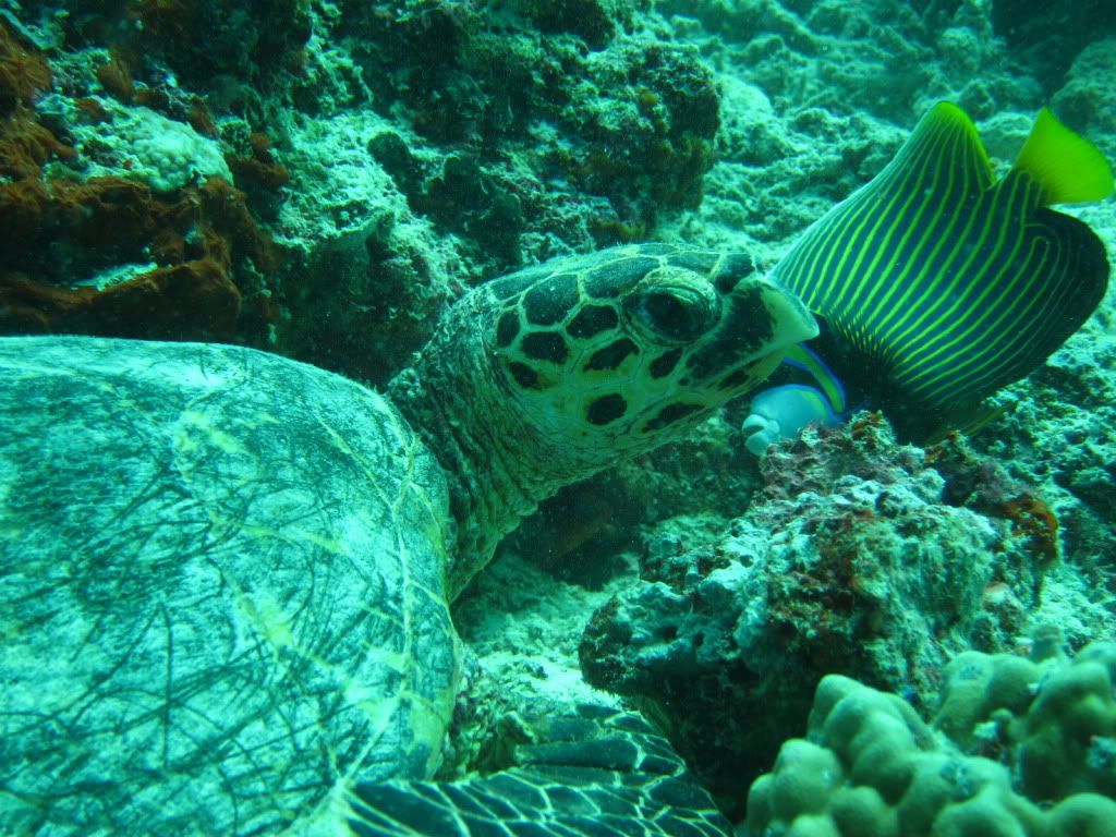 IMG_8317.jpg