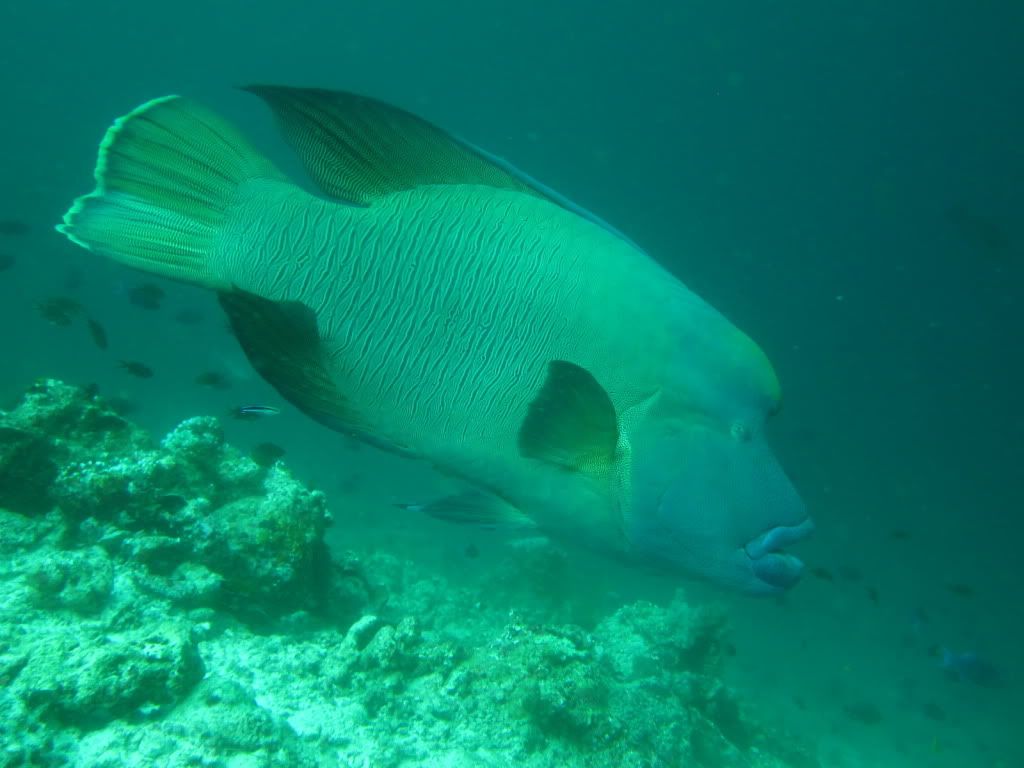 IMG_8446.jpg