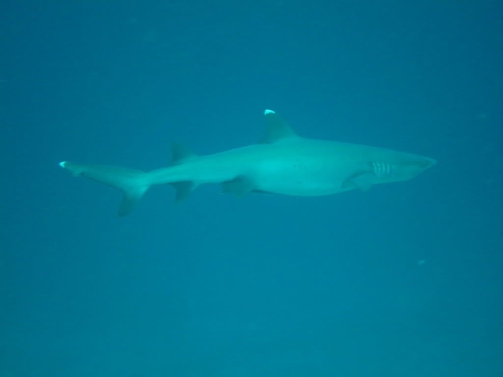 IMG_8859.jpg