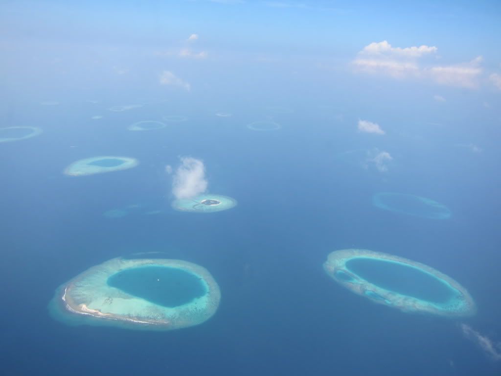 IMG_9460.jpg