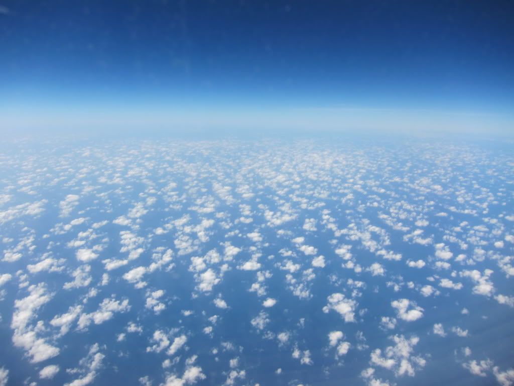 IMG_9472.jpg