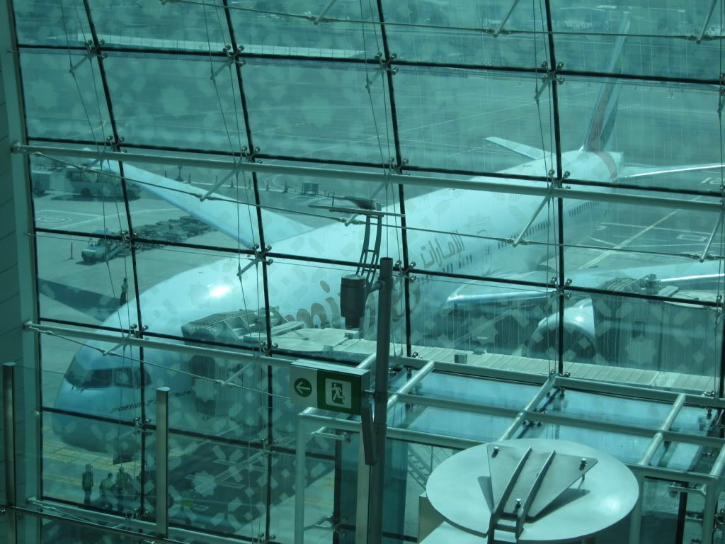 IMG_9529.jpg