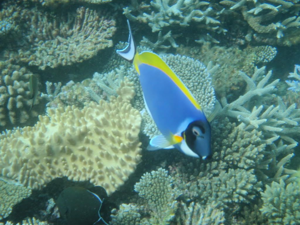 P1250359.jpg