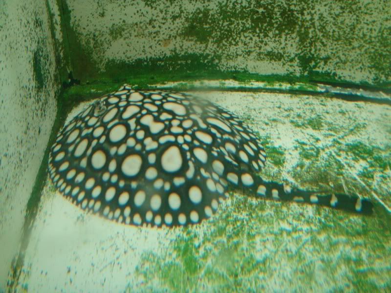 DSC07614.jpg