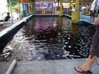 Photo Sharing and Video Hosting at Photobucket