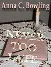 Never Too Late cover photo NeverTooLate.jpg