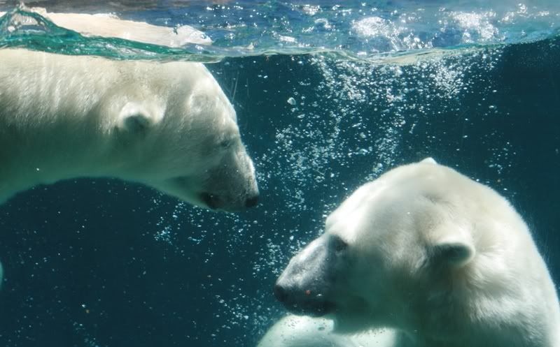 IMAGE: http://img.photobucket.com/albums/v72/myasshurts/IMG_1232e-1.jpg