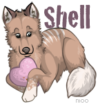valentinesale-shell.png