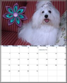 sidebar photo blog-calendar-july2013-sidebar_zps37acc1b1.jpg