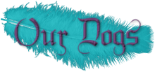  photo blog-peacock-button-ourdogs_zps8ea76b33.png