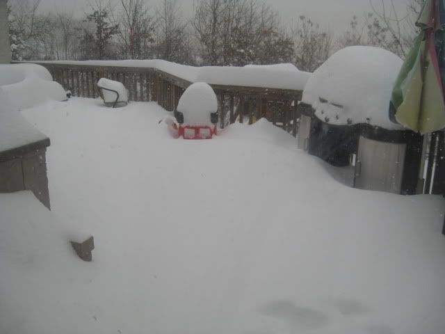 ZSgarageZsnowstorm012.jpg