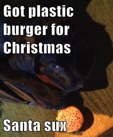  photo santasuxpuppy_zps199f9892.jpg