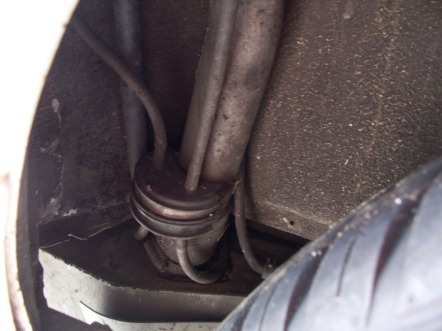 fuel breather hoses Just Commodores