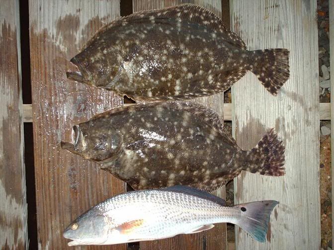 stinkyhooker1stfish003.jpg