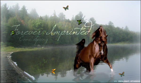Forever Imprinted
