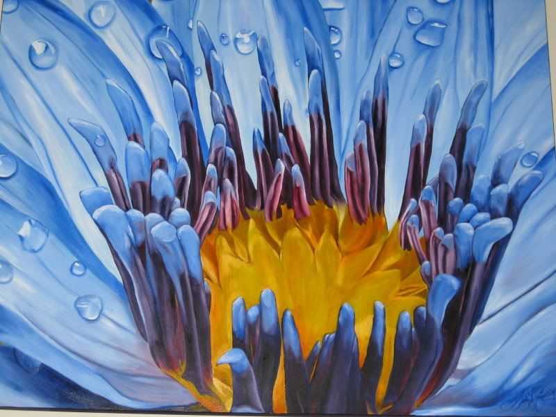 waterlily