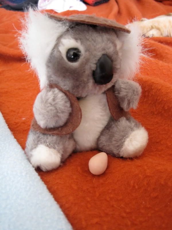 http://img.photobucket.com/albums/v721/othobsession/Toy%20Voyagers/TV-%20Koala%20Karl/IMG_0681.jpg