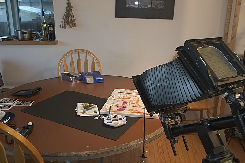 IMAGE: http://img.photobucket.com/albums/v721/viperx27/Brooks/CRW_4895.jpg