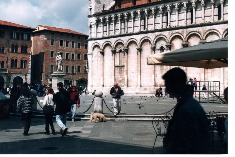 http://img.photobucket.com/albums/v722/ossobuco/DogofSMicheleLucca181-1.jpg?t=1290527285