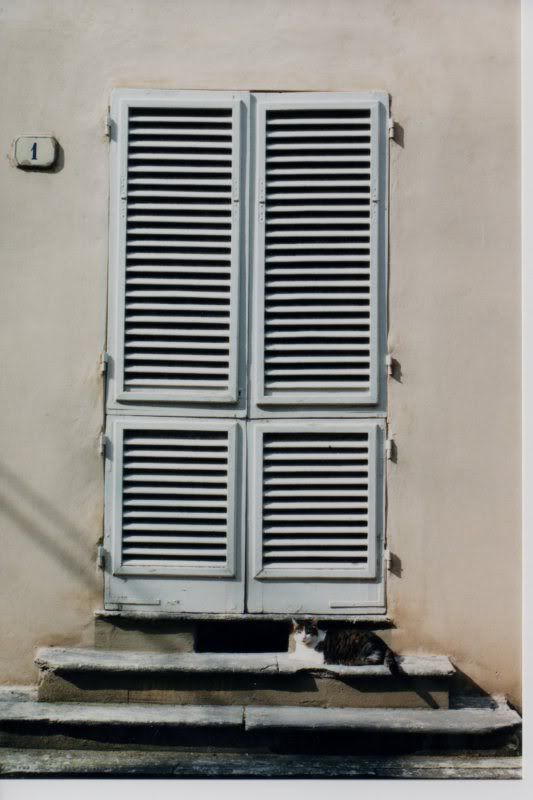 http://img.photobucket.com/albums/v722/ossobuco/Luccacat186.jpg?t=1290528284