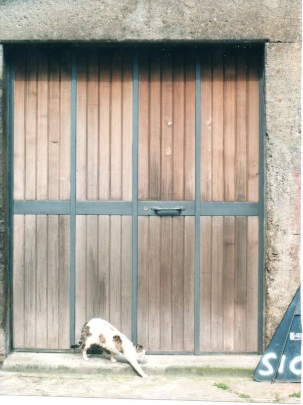 http://img.photobucket.com/albums/v722/ossobuco/cat2x2viterbo187.jpg?t=1290528212