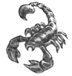 scorpion.png