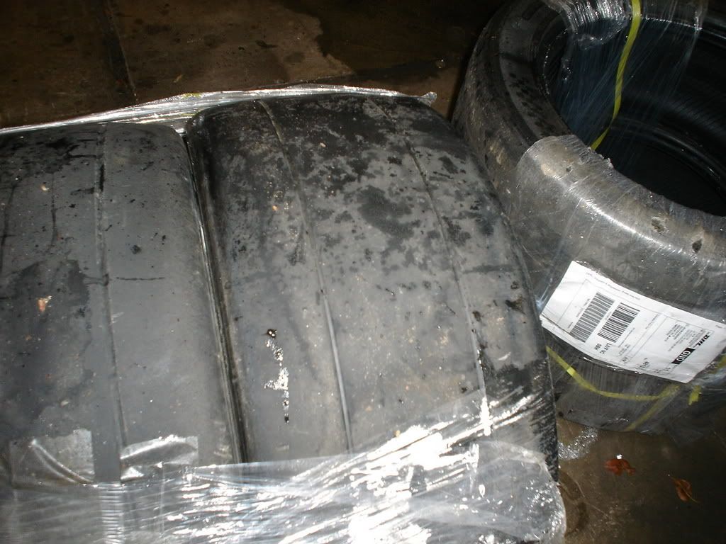 DSC01331.jpg