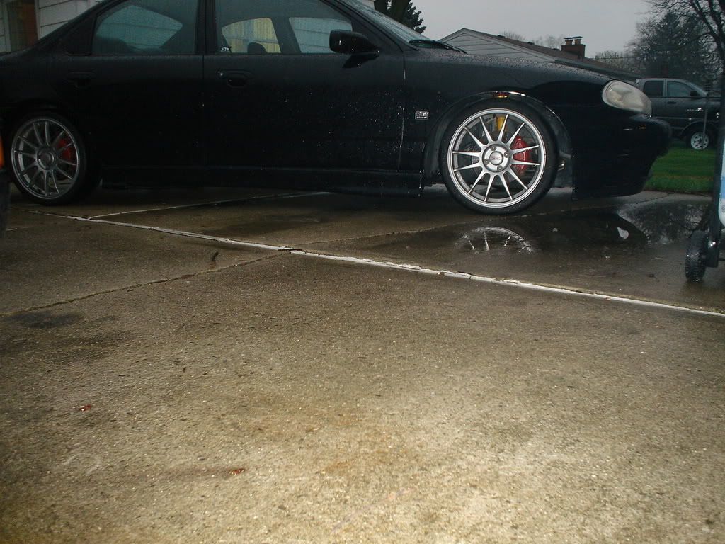 DSC01336.jpg