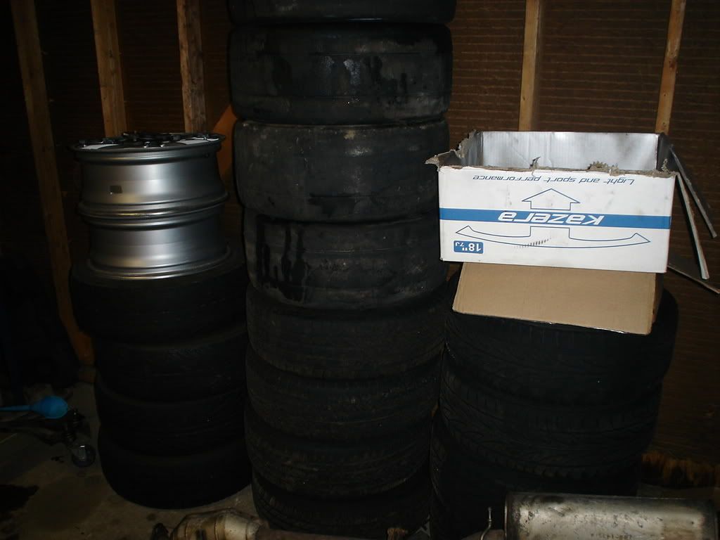 DSC01339.jpg