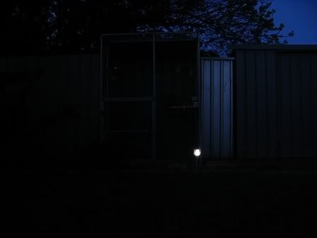 Image8.jpg