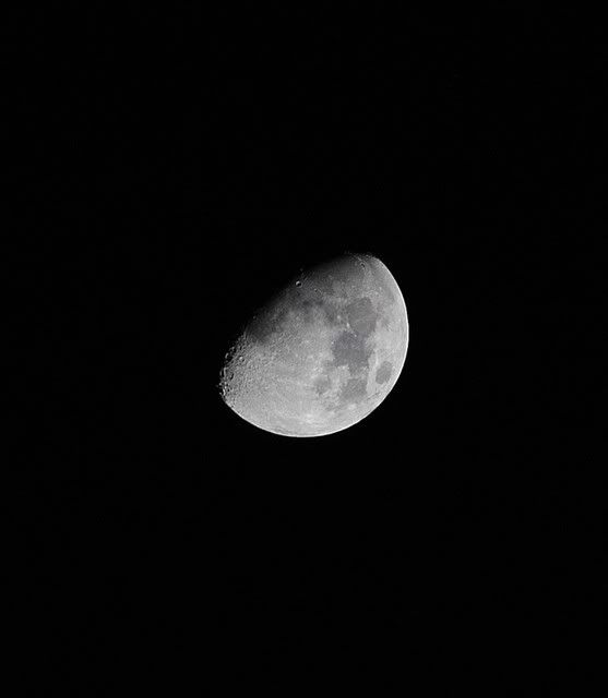 Moon4thdec.jpg