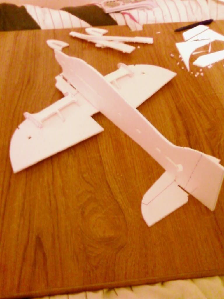 SP_A0305.jpg