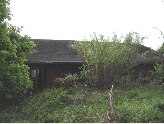 cozycottage1.jpg