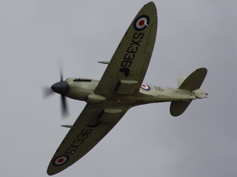 http://img.photobucket.com/albums/v726/Stewart1a/DX%2090%2008/SEAFIRE.jpg
