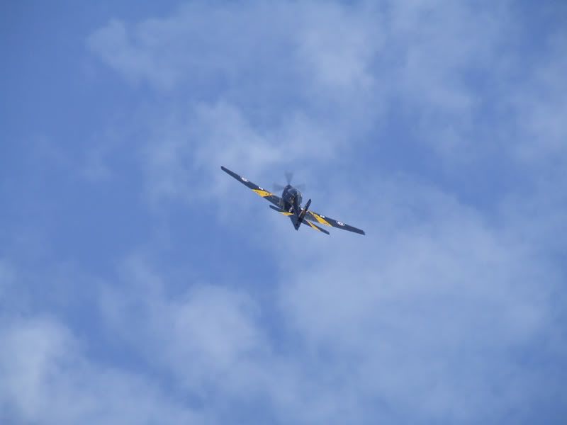 http://img.photobucket.com/albums/v726/Stewart1a/Tucano.jpg
