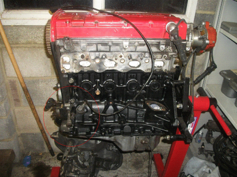 c20xe oil leak usual suspects?