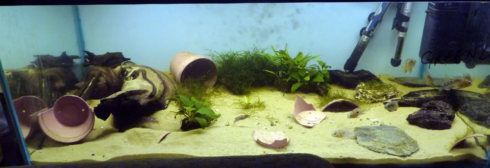 fts_150.jpg