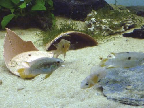 group_shot_150.jpg