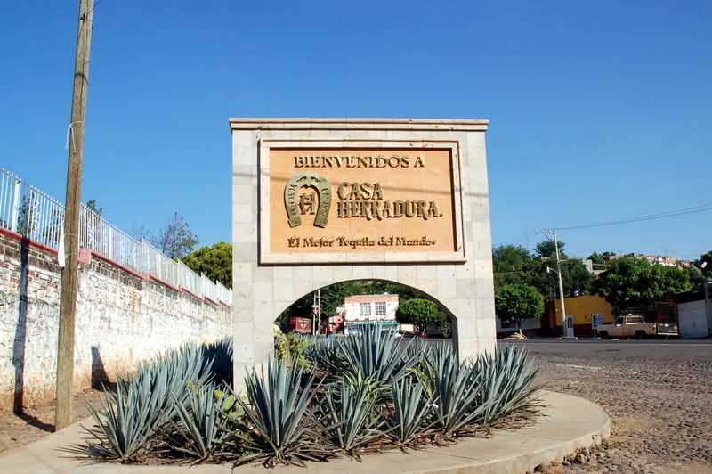 Mex2xx.jpg