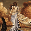 phoenix*angel*13 Avatar