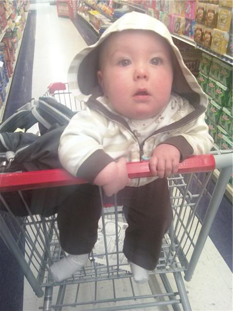 logan@grocerystore