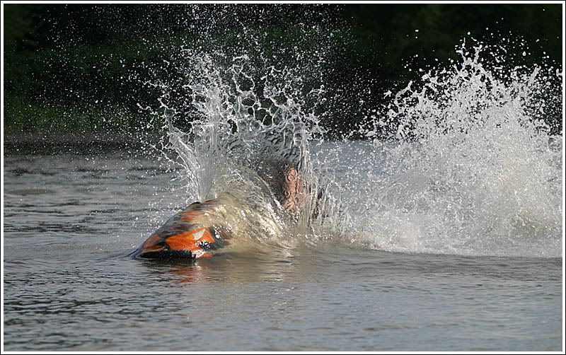 IMAGE: http://img.photobucket.com/albums/v727/xb8slim/GravyLabs/IMG_3438copy.jpg