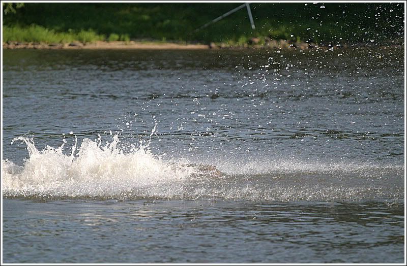 IMAGE: http://img.photobucket.com/albums/v727/xb8slim/GravyLabs/dunk3.jpg