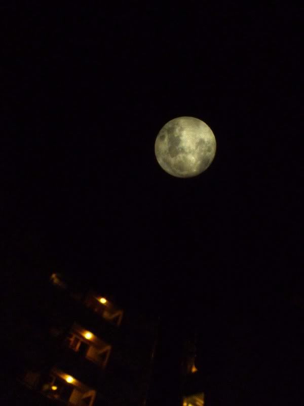 Moon01.jpg