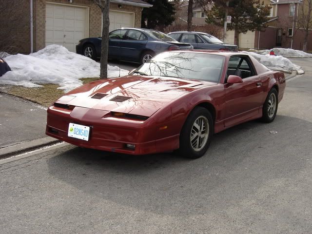 http://img.photobucket.com/albums/v729/Silvia_Drift/Firebird6.jpg